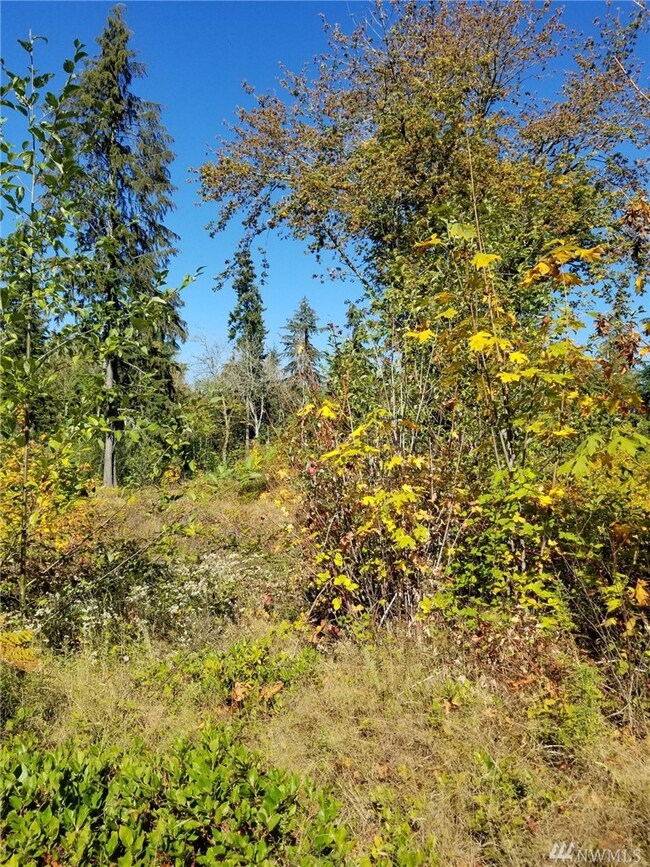 24222 110th Ave E unit A, Graham, WA 98338 - photo 5