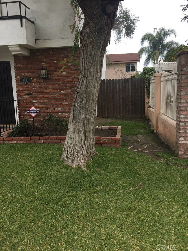 Right Side Front and Side Yards