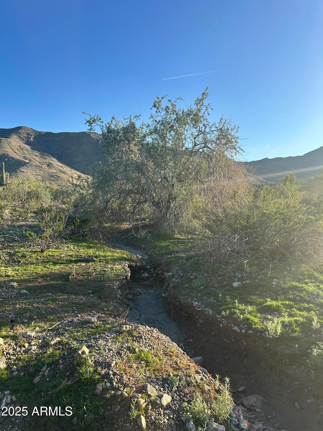 2500 W Sunrise Dr, Phoenix, AZ 85041 - photo 7