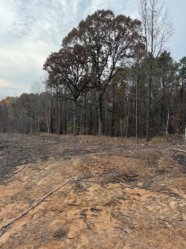 TBD Cr 442, Paris, MS 38949 - photo 7