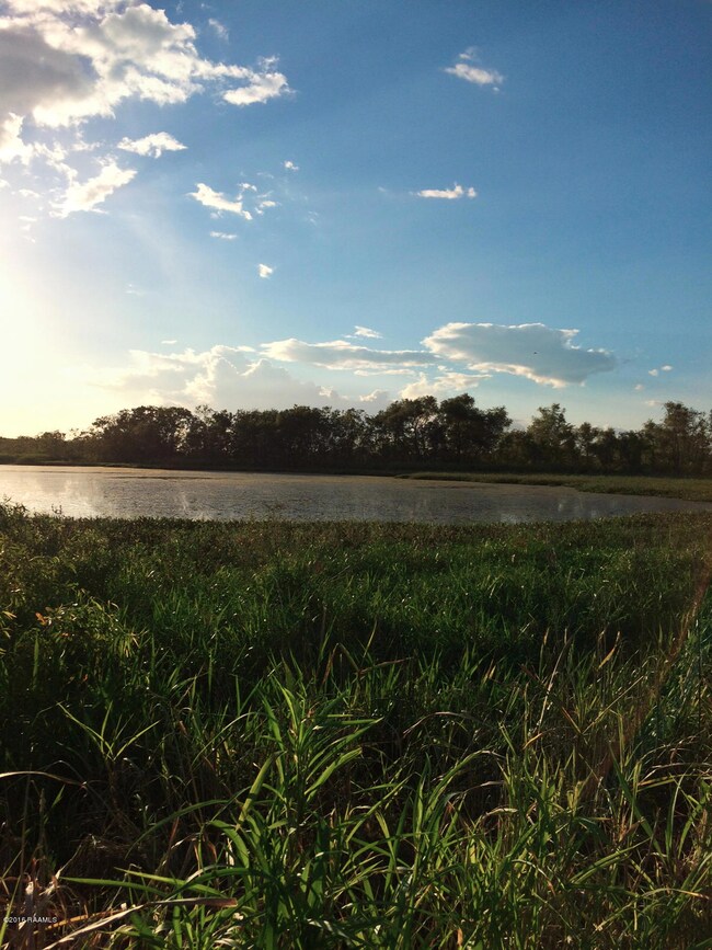 Marsh