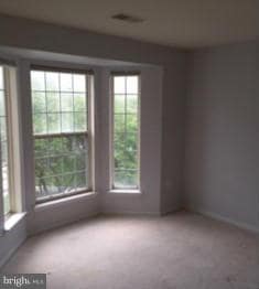 4405 Silverbrook Ln unit 203, Owings Mills, MD 21117 - photo 5