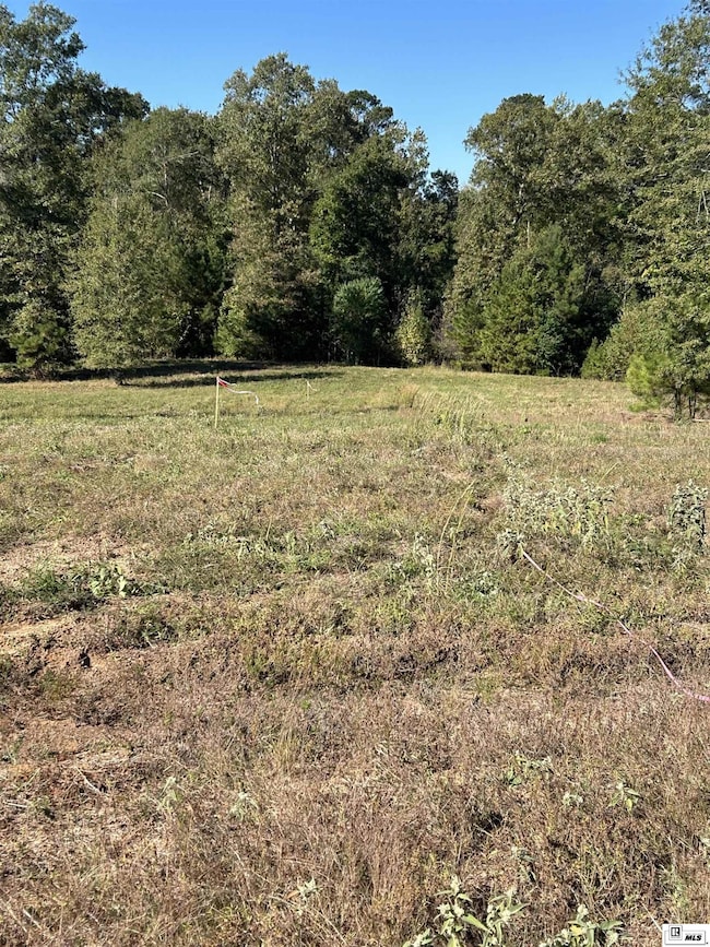 000 Cove View Rd, Farmerville, LA 71241 - photo 2