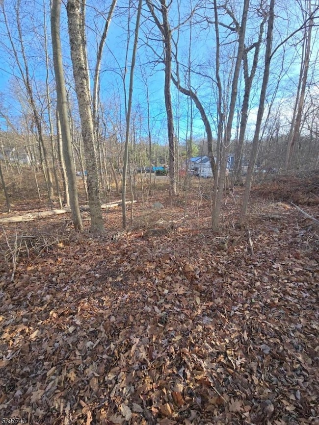 00 Linwood Rd, West Milford, NJ 07421 - photo 5