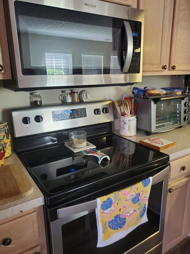 8343 Grand Trevi Dr unit 6103, Louisville, KY 40228 - photo 6