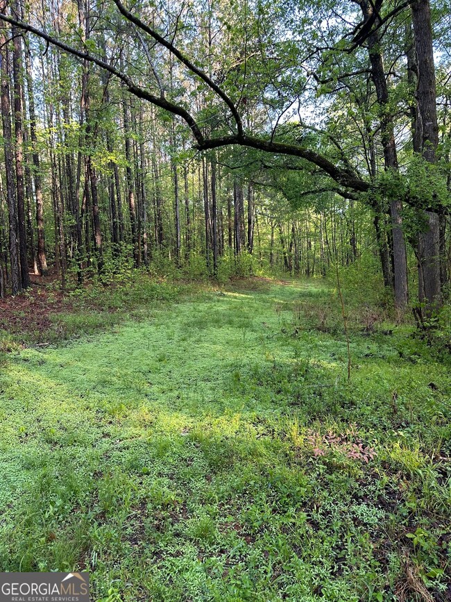 1433 Cleveland Farm Rd, Locust Grove, GA 30248 - photo 2