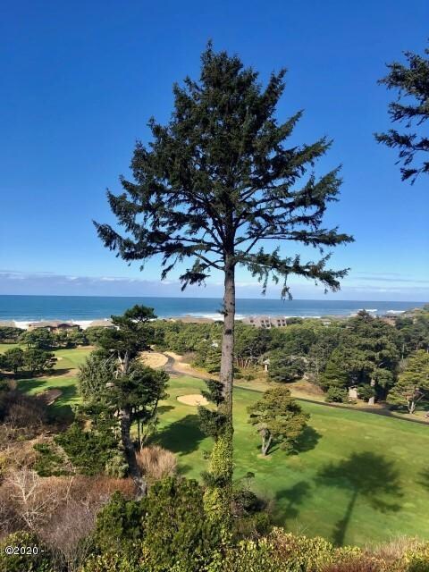 6 Huckleberry View