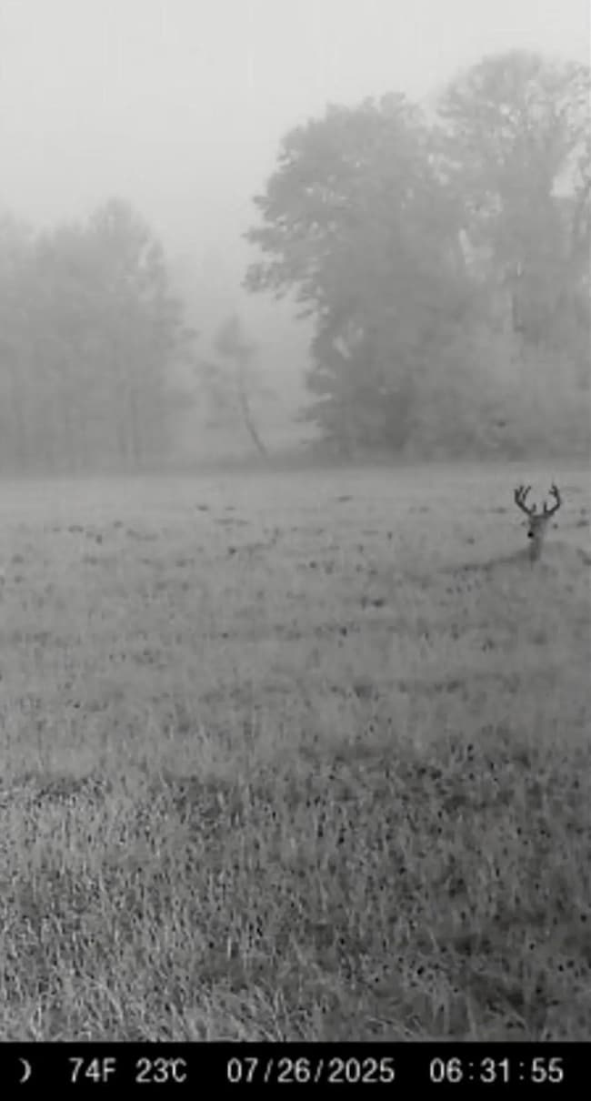 650 Flowers Rd, Madison, FL 32340 - photo 2