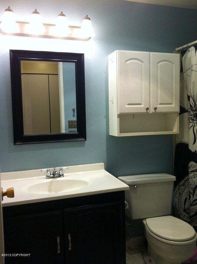 Updated Bathroom