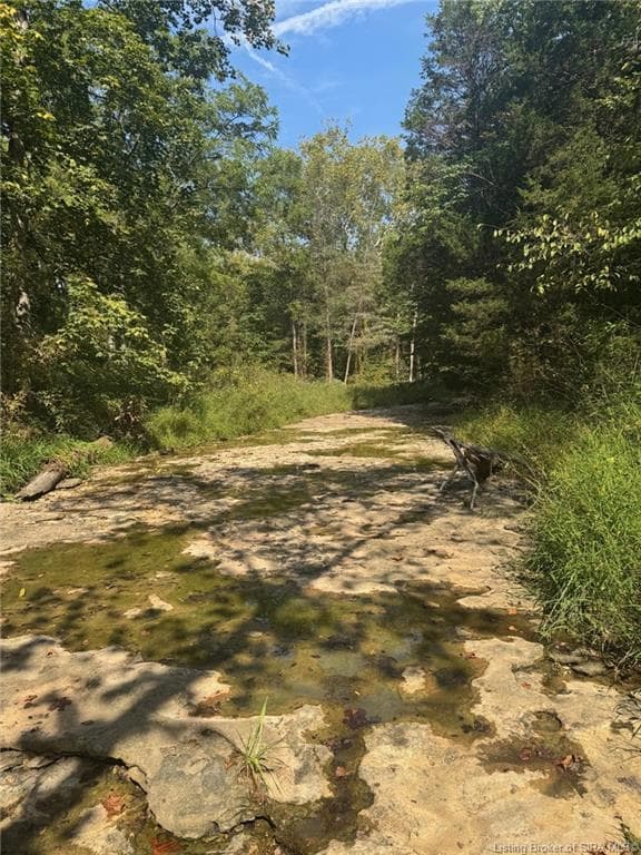 2843+ E Thornton Rd, Madison, IN 47250 - photo 4