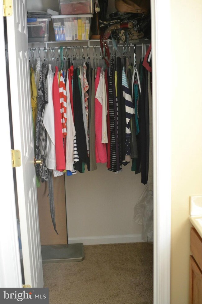 6904 Winthrop Ct, Fredericksburg, VA 22407 - photo 6