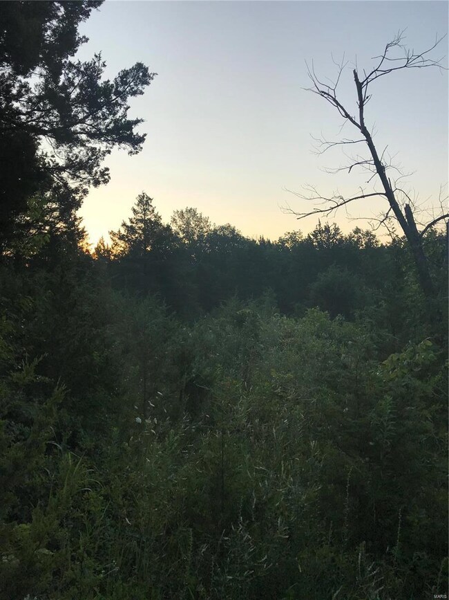 415 Cedar View Dr, Lonedell, MO 63060 - photo 4