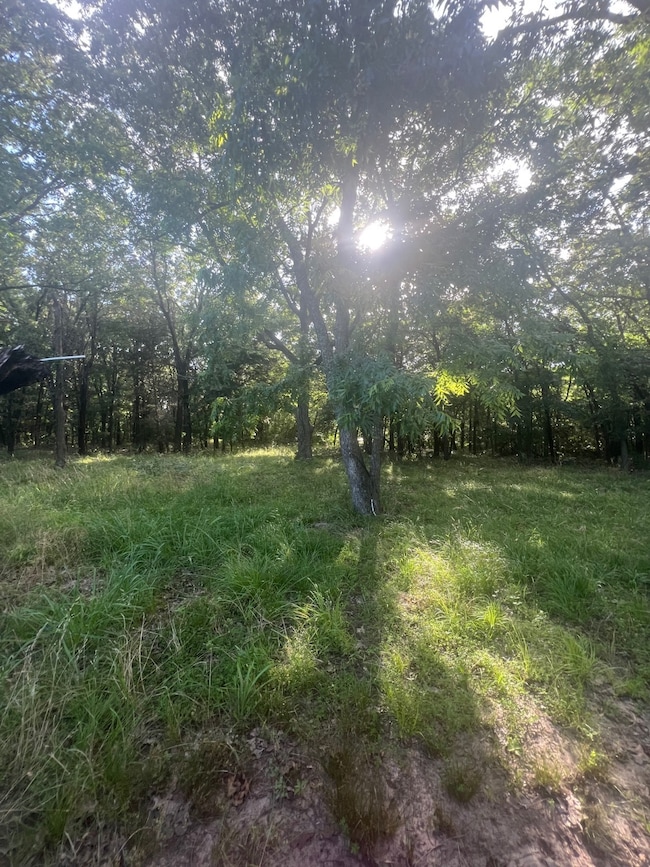 12295 S Bee Emet Rd, Milburn, OK 73450 - photo 3