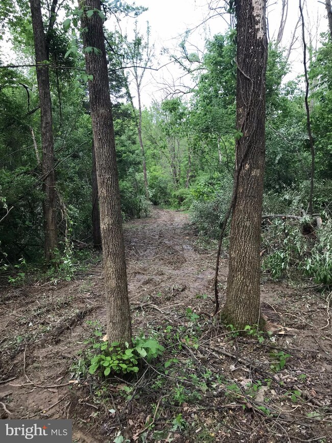 1641 Deer Rapids Rd, Strasburg, VA 22657 - photo 4