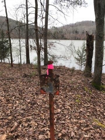 0 Lovelace Rd, Hardin Valley, TN 37932 - photo 2