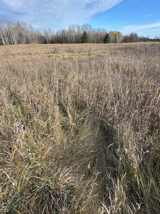 409 S Morrison Rd, West Branch, MI 48661 - photo 5