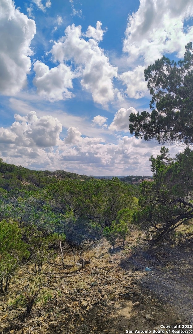 181 Deer Run Dr, Bandera, TX 78003 - photo 3