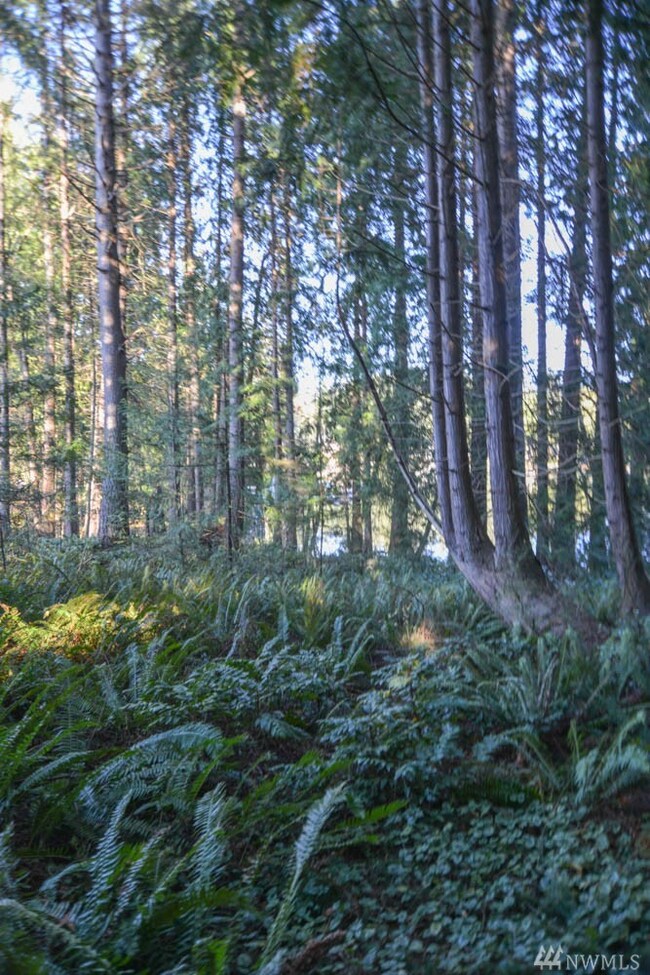 0 W Lake Ketchum Rd unit 1695891, Stanwood, WA 98292 - photo 6