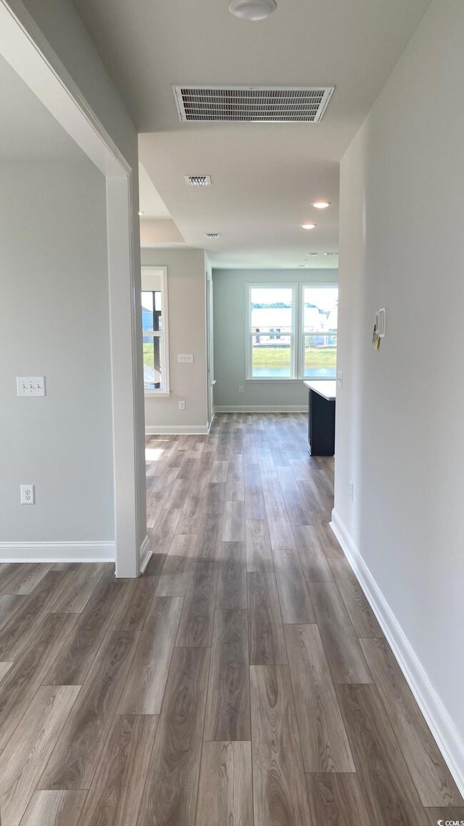 Hallway with wood-type flooring and a healthy amou