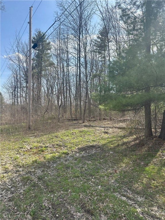 0 W Gulick Rd unit R1602201, South Bristol, NY 14512 - photo 6