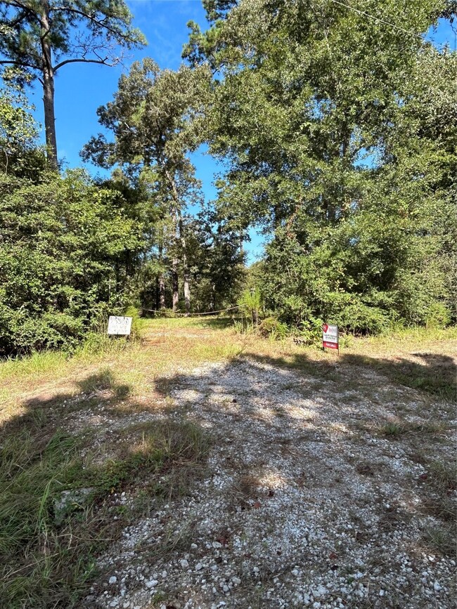 24585 Emily Way, Hockley, TX 77447 - photo 5