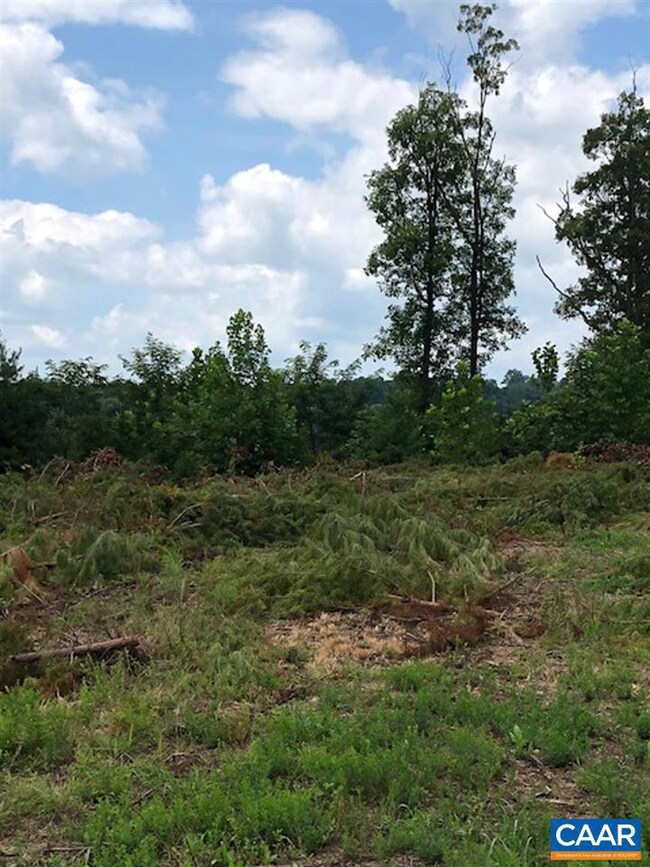 0 Esmont Rd unit 582724, Esmont, VA 22937 - photo 5