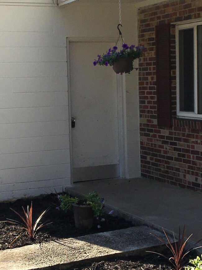 8339 Bengalin Ave, Jacksonville, FL 32211 - photo 5