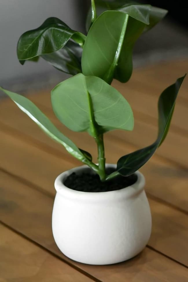 5386 Farm To Market 1376 unit 96, Fredericksburg, TX 78624 - photo 4