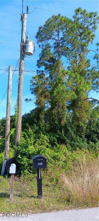 Electric utility pole on lot