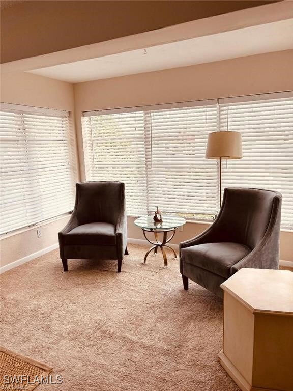 1100 8th Ave S unit 314B, Naples, FL 34102 - photo 4