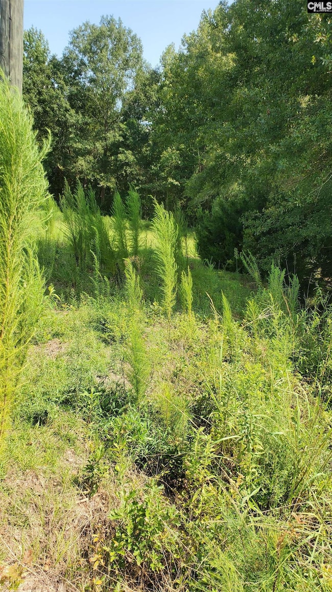 0 Ardis Rd, Pinewood, SC 29125 - photo 5