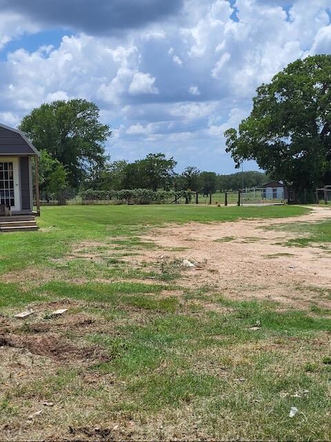 View of green lawn