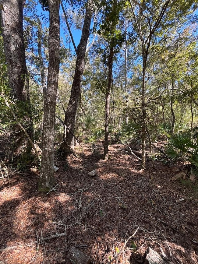 Lot 1 SE 843rd St, Old Town, FL 32680 - photo 5