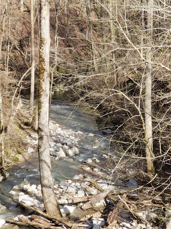 7170 Old Mill Rd, Baxter, TN 38544 - photo 3