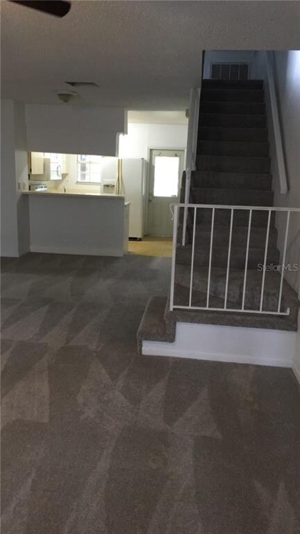 Brand new carpet and Fresh Paint!