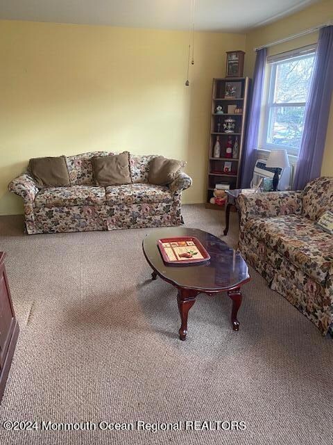 pic 3