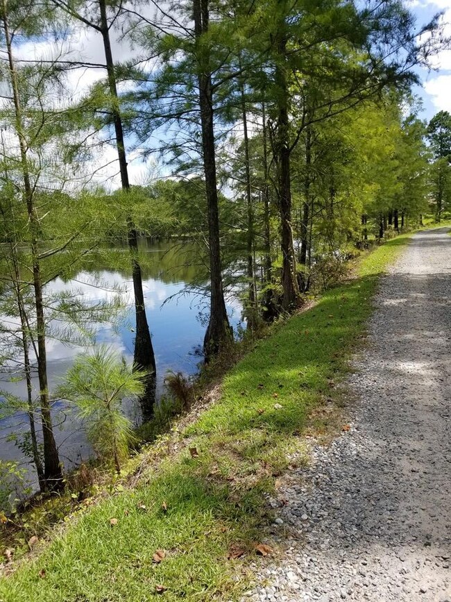 274 Wildwood Rd unit na, West Green, GA 31567 - photo 5