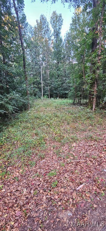 0000 Old Sellers Rd, Ramer, AL 36069 - photo 6