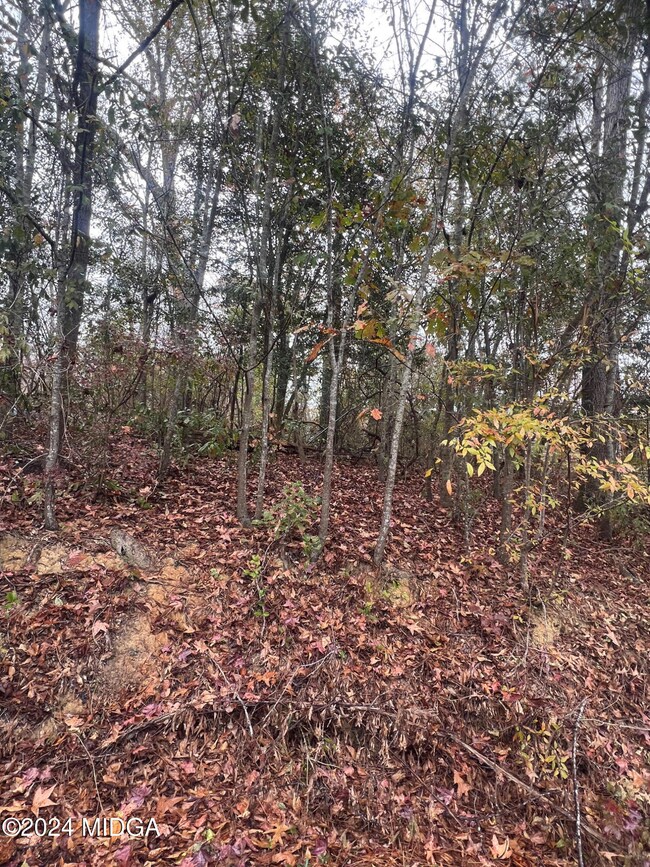 000 Evergreen Cir, Ivey, GA 31031 - photo 3