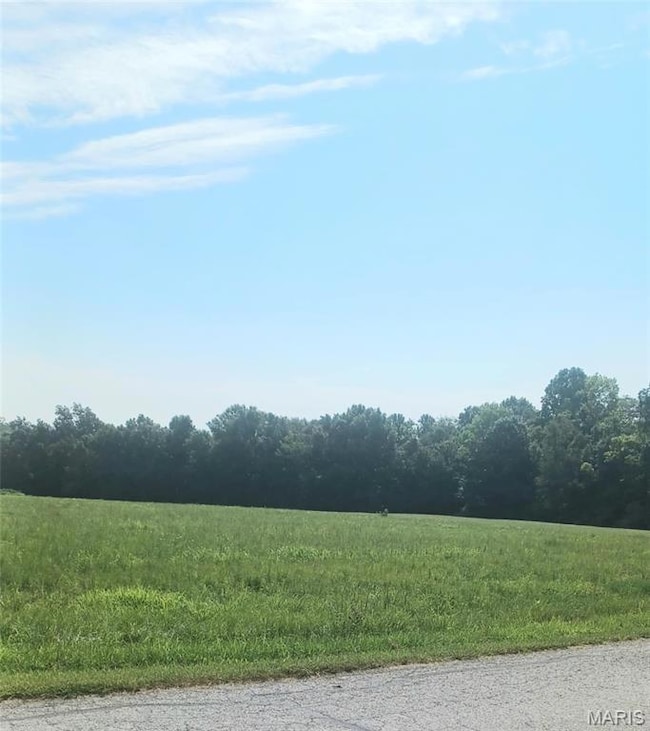 View of asphalt road with a wooded view and a rural view
