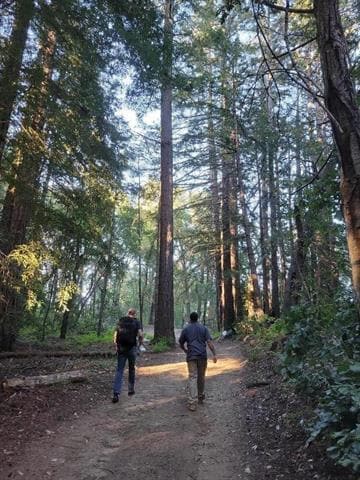 1 Skyview Rd, Boulder Creek, CA 95006 - photo 4