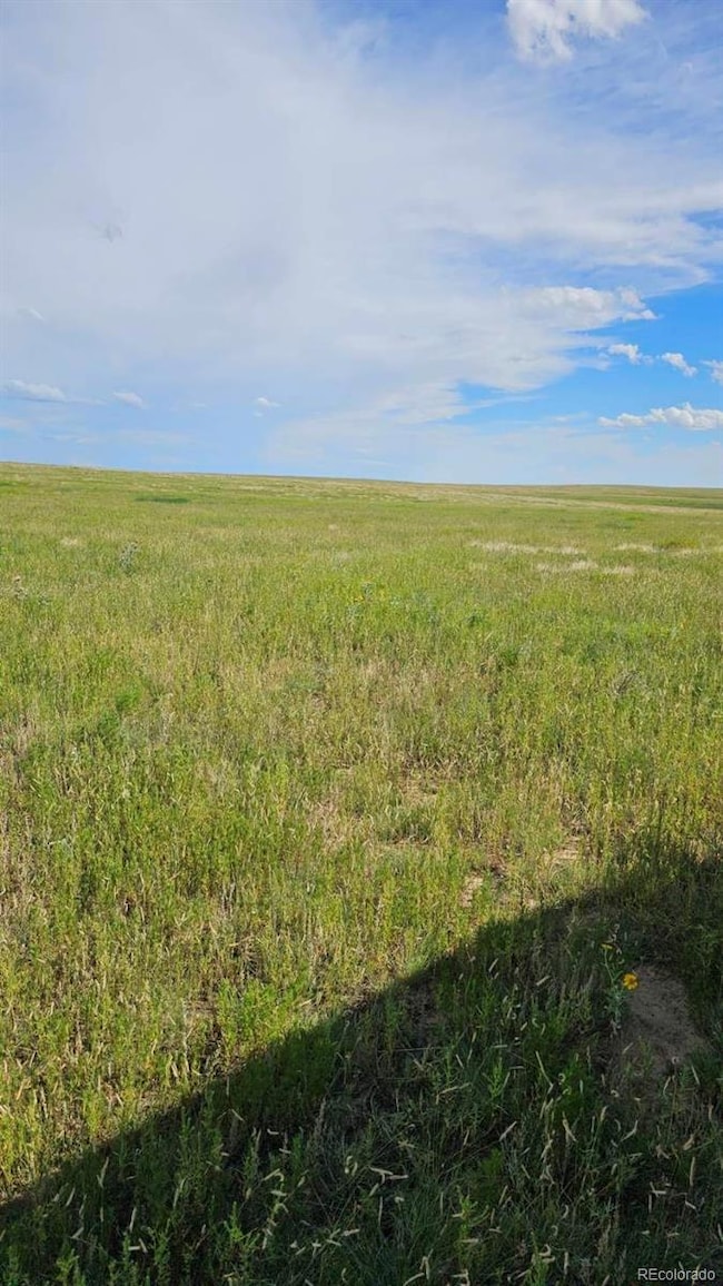 37855 Shear Rd, Yoder, CO 80864 - photo 2