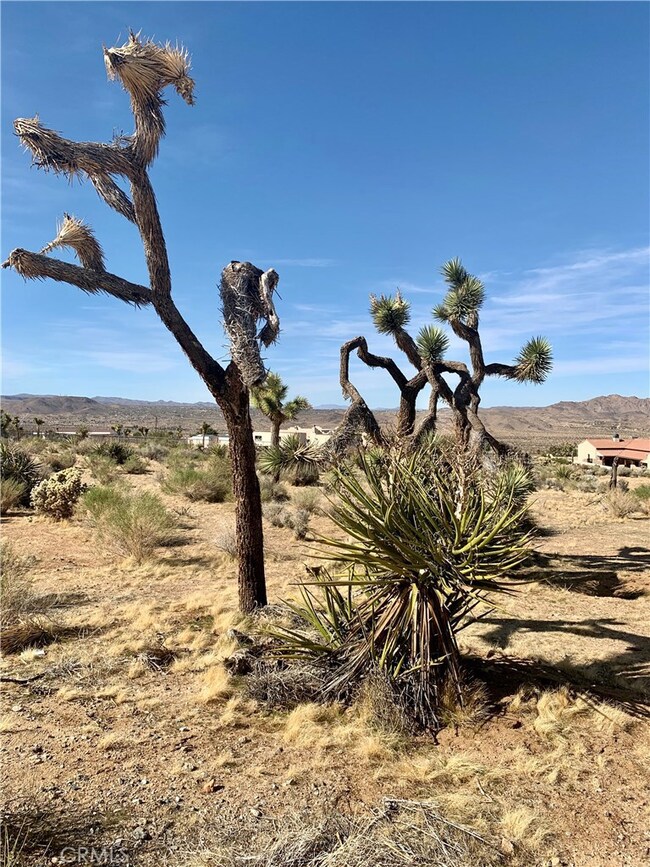 60730 Onaga Trail, Joshua Tree, CA 92252 - photo 6