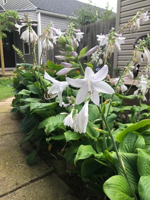 355 Demorest Rd, Columbus, OH 43204 - photo 4