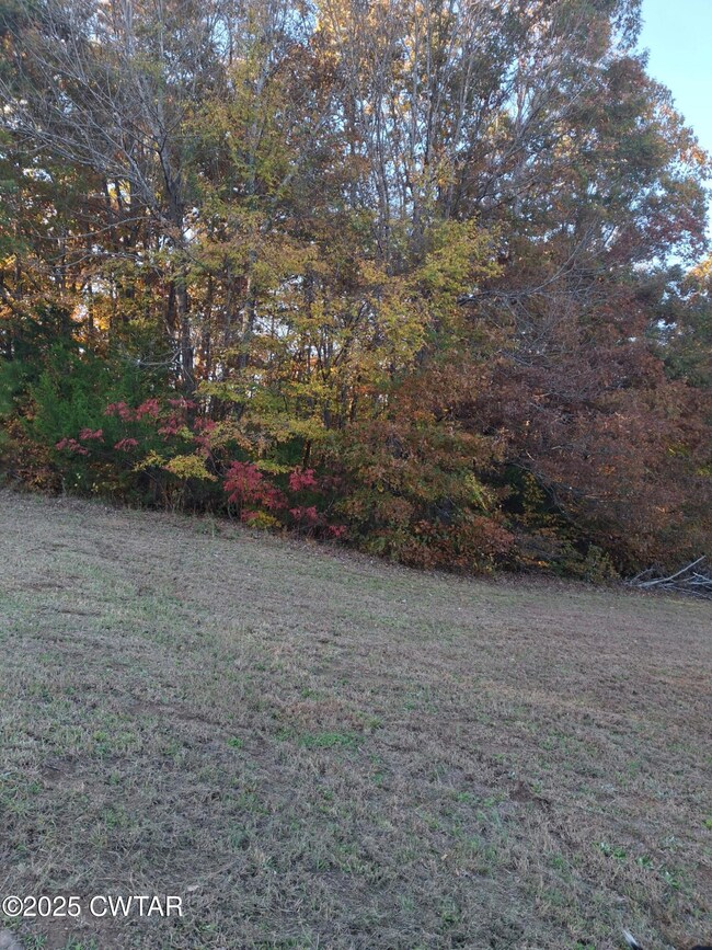 555 Center Point Rd S, Reagan, TN 38368 - photo 6