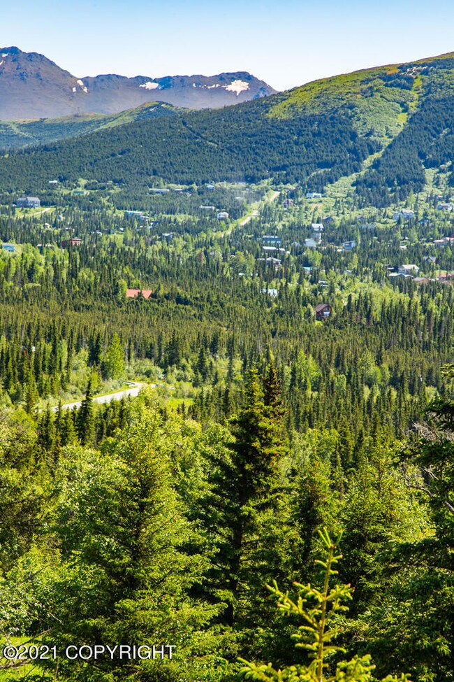 _MG_8973