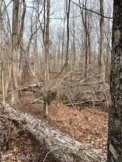 6401 Sable Ln, Greensboro, NC 27406 - photo 4