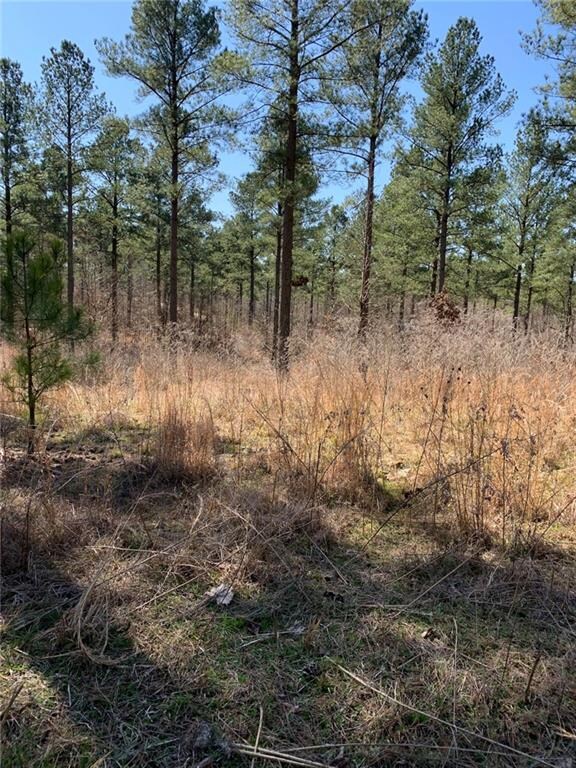 0 Eagle Mountain Trail E unit Lot 55 901730, Broken Bow, OK 74728 - photo 2