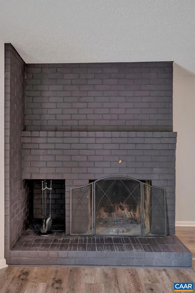 136 Green Turtle Ln unit 2, Charlottesville, VA 22901 - photo 5