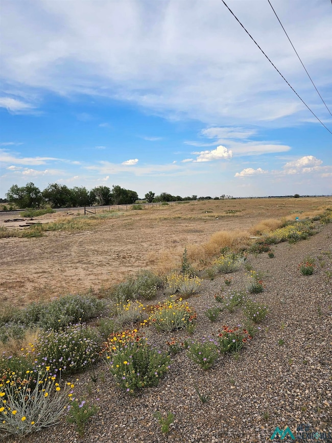 00 E Hobson Rd, Roswell, NM 88203 - photo 3